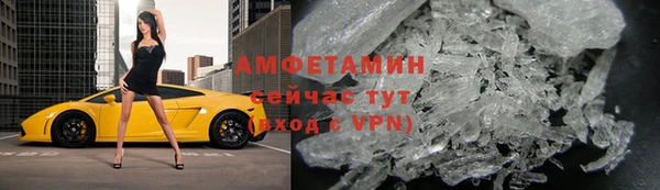 прущие грибы Богородицк