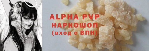 прущие грибы Богородицк