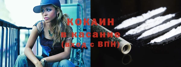 крисы Богородск