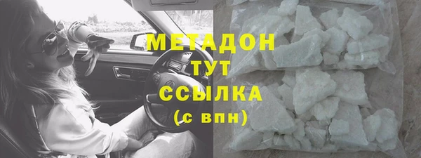 прущие грибы Богородицк