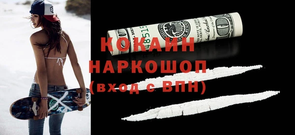 прущие грибы Богородицк
