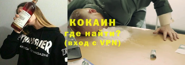 прущие грибы Богородицк