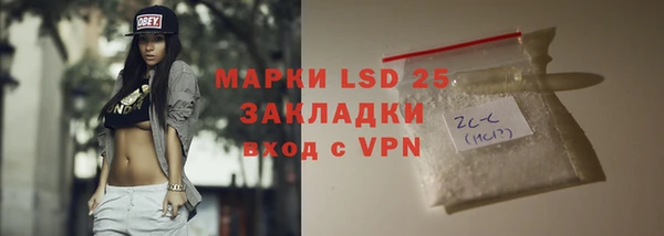 прущие грибы Богородицк