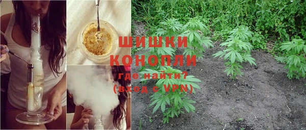прущие грибы Богородицк