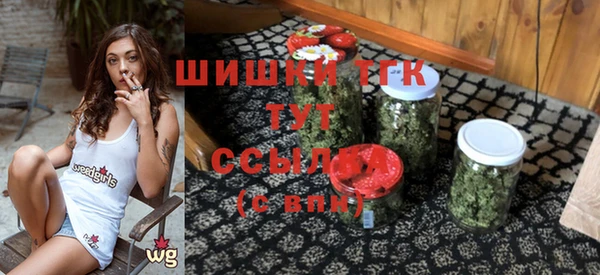 прущие грибы Богородицк