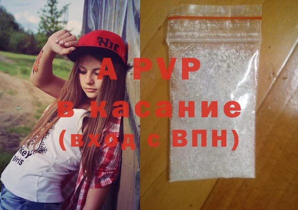 крисы Богородск