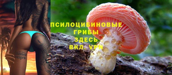 прущие грибы Богородицк